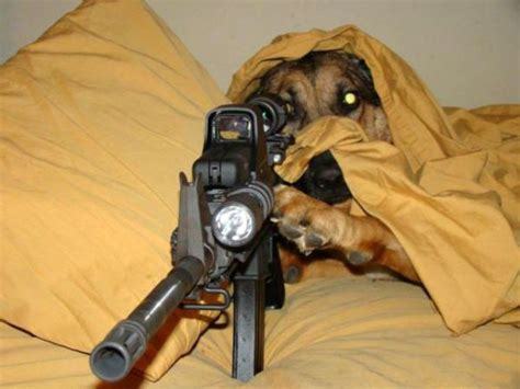 An intruder breaks into your home with a bat, you can choose any weapon to defend yourself with?