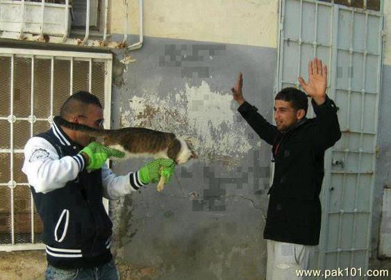 An intruder breaks into your home with a bat, you can choose any weapon to defend yourself with?