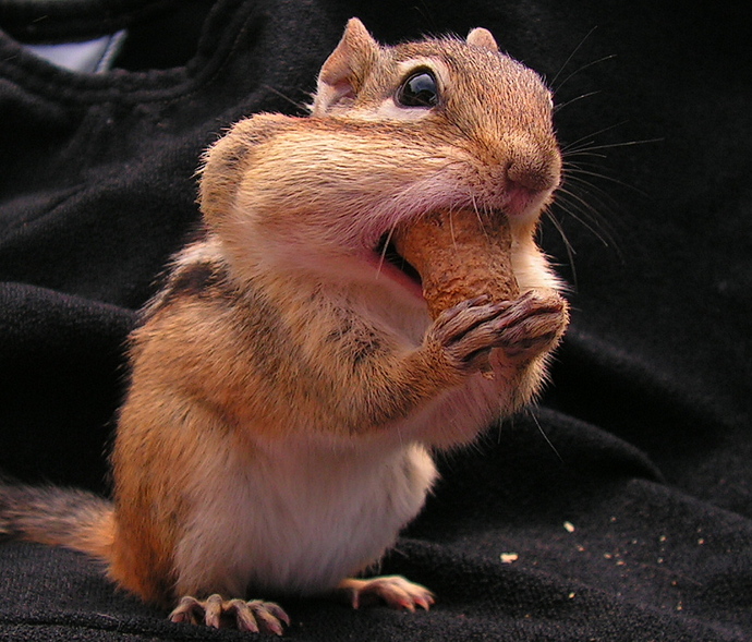 " I don know, shes nuts!"