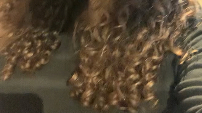 Is my hair the same length as the old pictures of me when I was 15 or was my hair a little longer?
