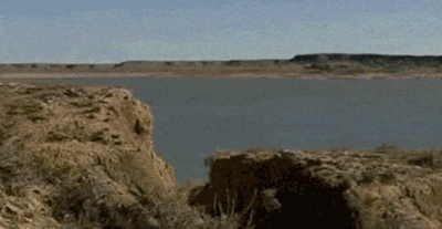 Is vaccine mandates really against the Constitution?