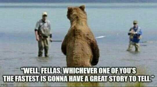 Whats the closest youve been to a dangerous animal in the wild?