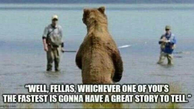 What's the closest you've been to a dangerous animal in the wild?