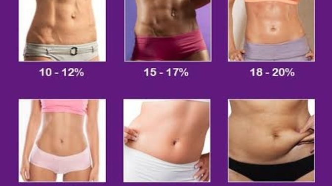 What do you think my body fat percentage is?