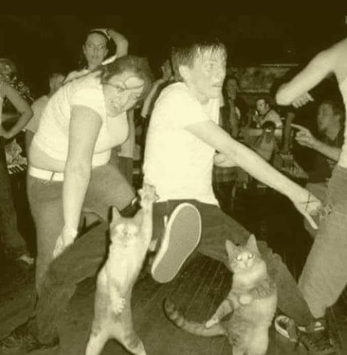 Do you have epic dance moves?