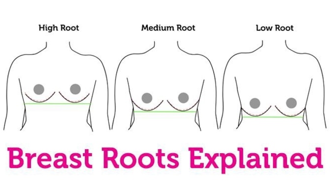 Breast Root help?