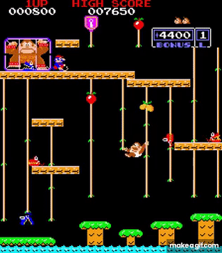 Have you ever played the arcade version of Donkey Kong Jr. ?