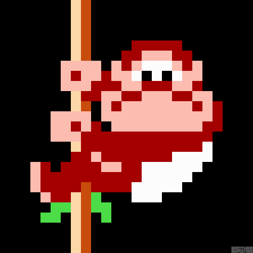 Have you ever played the arcade version of Donkey Kong Jr. ?