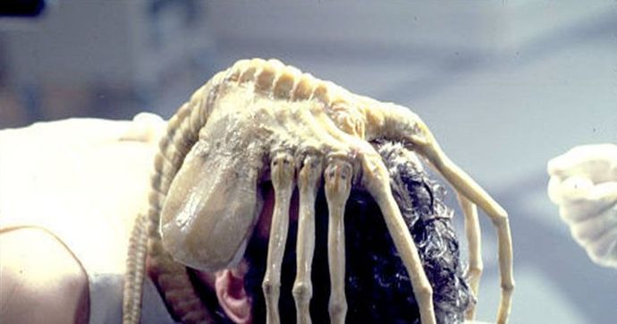What if the way we gave birth was for women to inject a baby inside a hosts body and the baby eats it from the inside out?