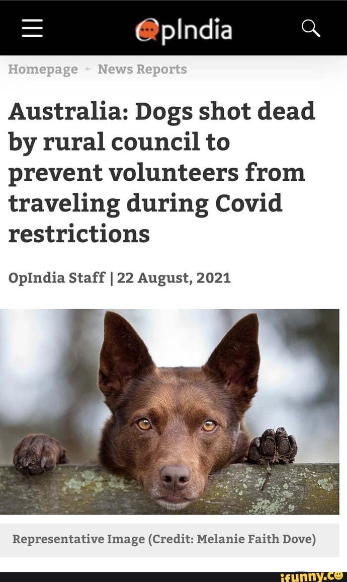 Still Worried About Covid?
