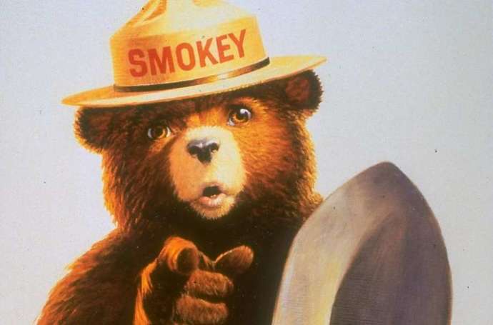 Only who can prevent forest fires?