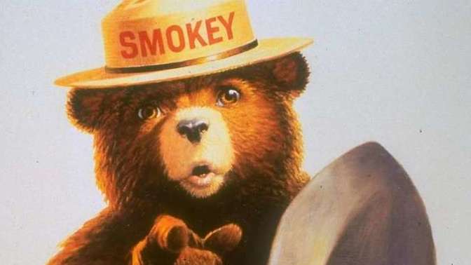 Only who can prevent forest fires?