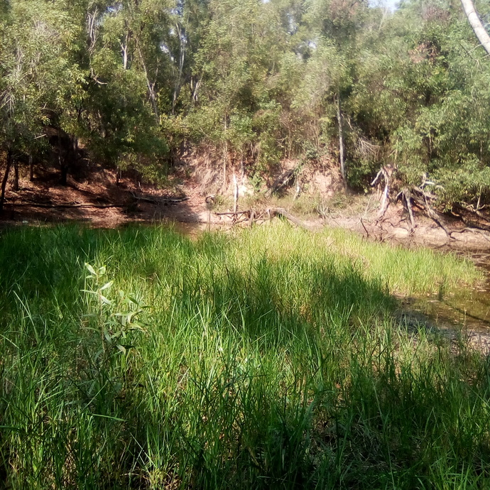 When was the last time you were outdoors enjoying nature?