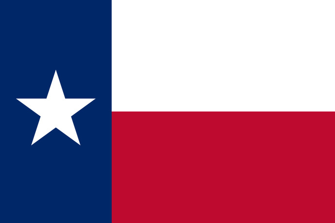 Is your opinion of the State of Texas positive or negative?