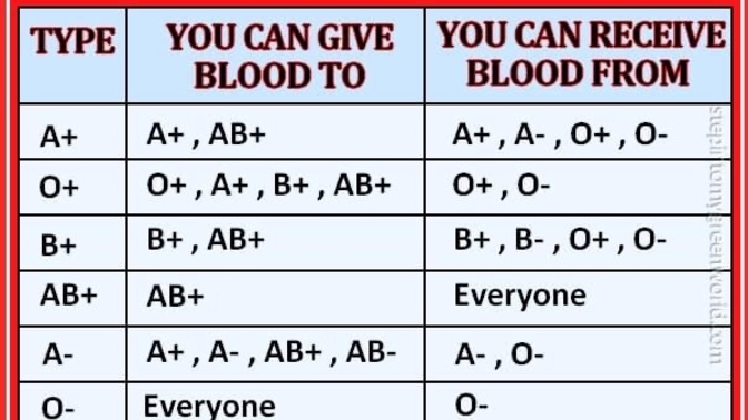 Would you give blood 🩸 to save a friend, family or spouse’s life? do you give blood?