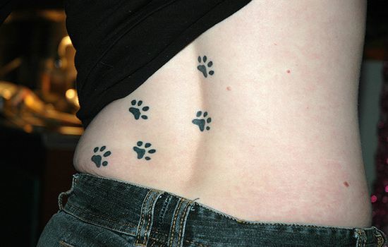 Who has Dog Paw Tats?