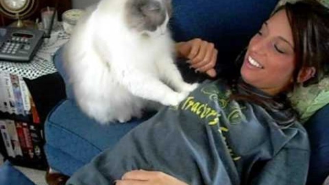 Ladies, did a cat ever knead on your bazookas?