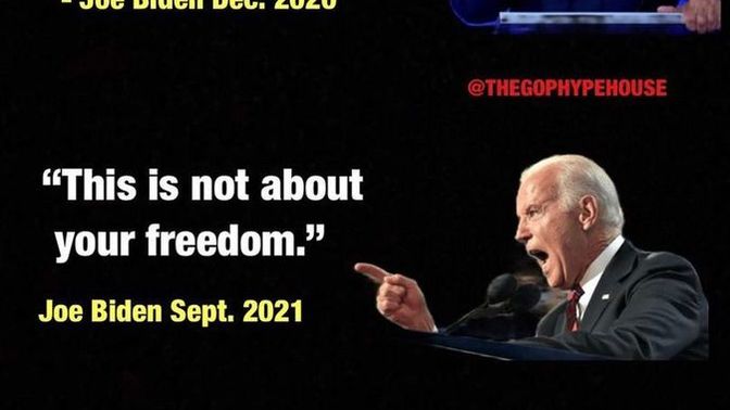 Why are democrats so submissive?