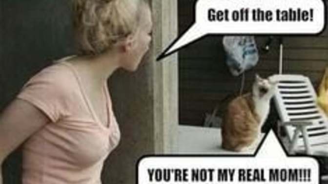 Are you cool with your kid calling their step-parent (that the other parent married) mommy/daddy?