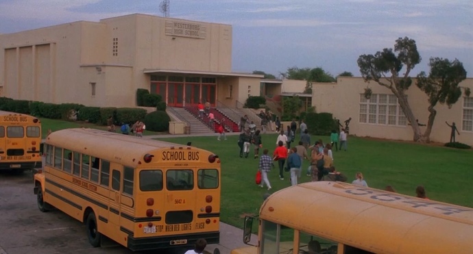 What are things you wished you did in high school before you graduated?