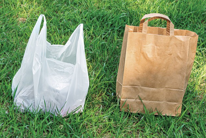 At The Grocery Store PAPER Or PLASTIC?