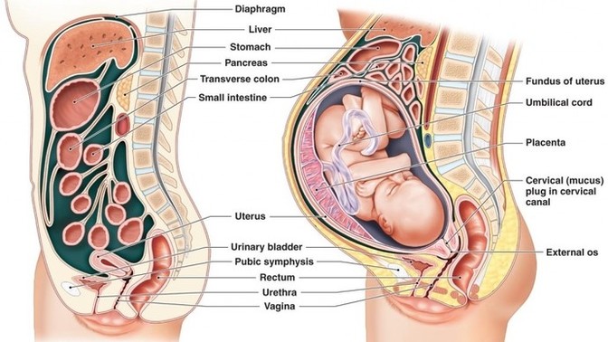 Why are so many girls and women excited for childbearing when it's such a painful and uncomfortable process?