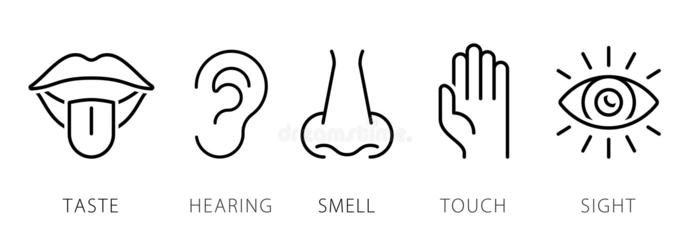 Which type of Sensory Style do you most perceive the world in?
