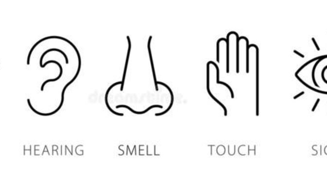 Which type of Sensory Style do you most perceive the world in?