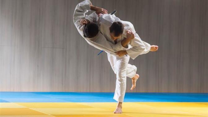 Is learning Martial Arts the best way of dealing with school bullies?