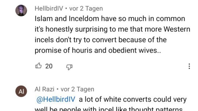 Why do some people hate feminazis but dont say anything about mgtow or redpill incels? What do you think about many mgtows/repills who likes islam?