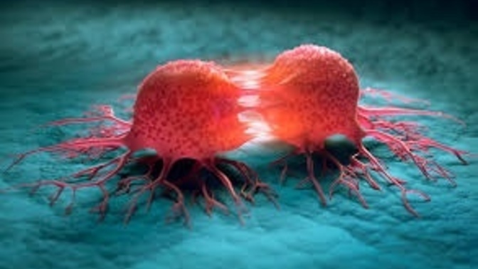 What should I do to protect myself if breast cancer runs in my family?