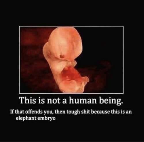 You know its not a human right?