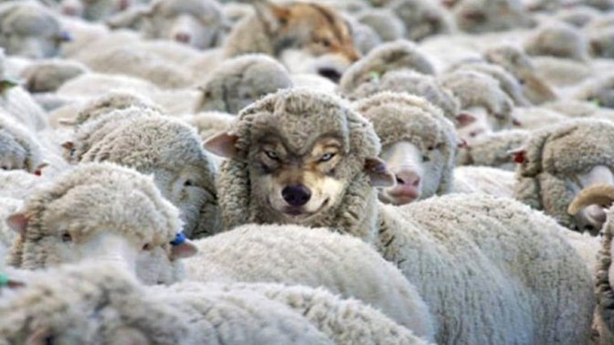When the gov asks you nicely to get your RFID transponder chip, will you do it, or will you wait for the mandate they promised they'd never do?