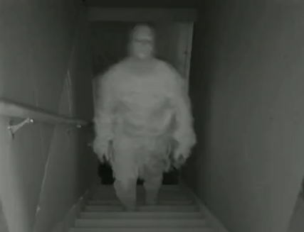 If you had to be haunted by a ghost, which type would you choose?