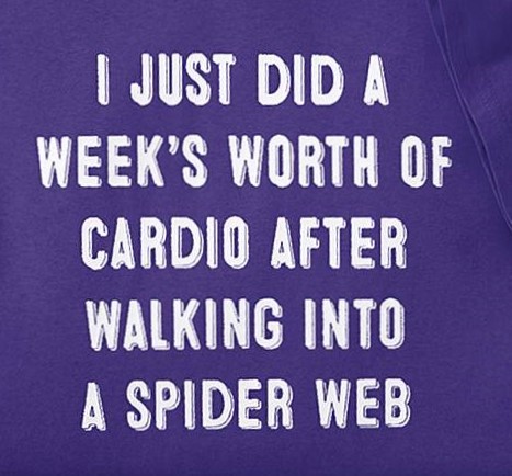 Is it weird that spiders don't bother me anymore?