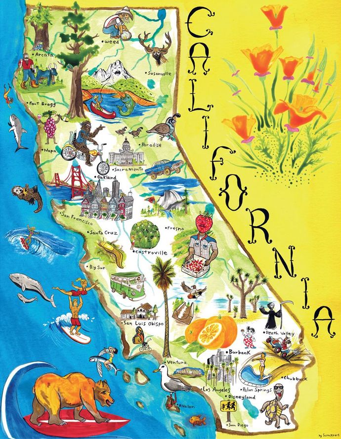 If you were forced to move to a new USA state every year for the next 3 years, what would be your top 3 picks and why?