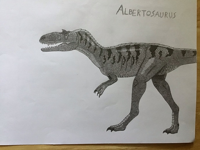 Do you have any drawing advice?