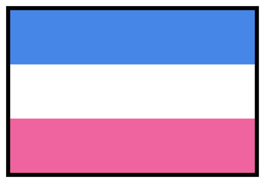 Have you ever displayed a flag to celebrate your sexual orientation?