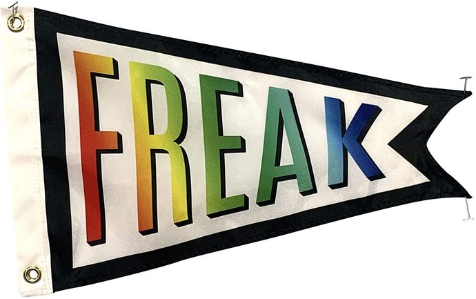 Have you ever displayed a flag to celebrate your sexual orientation?