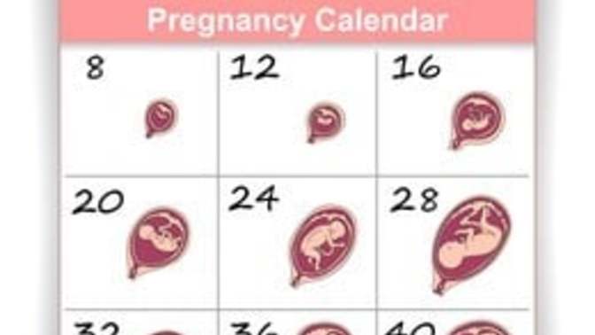What's your opinion of the new rulings of abortion laws from the Supreme Court?