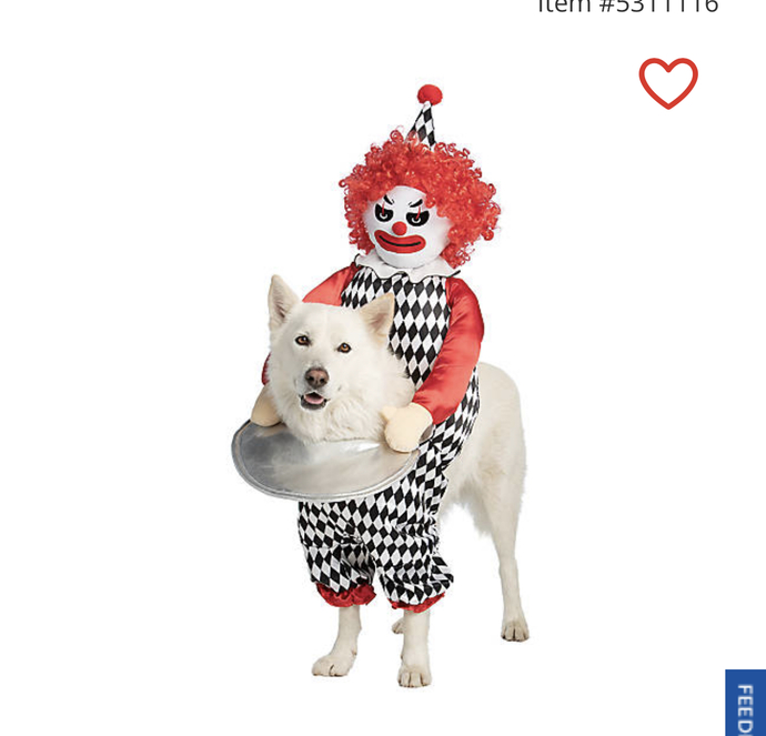 Which costume should I get my dog for Halloween ?