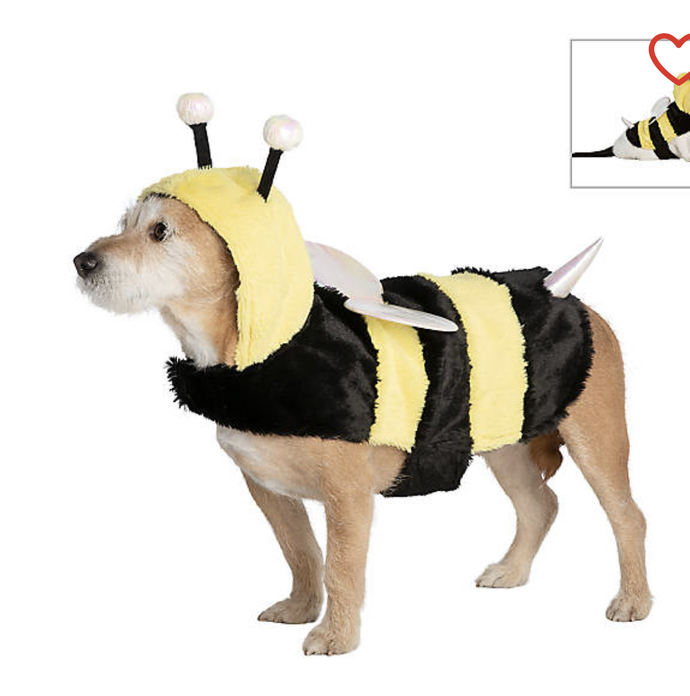 Which costume should I get my dog for Halloween ?