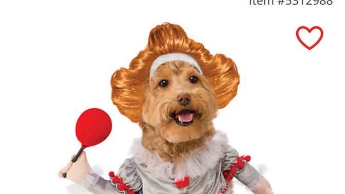 Which costume should I get my dog for Halloween?