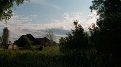 My farm in the spring of 2021