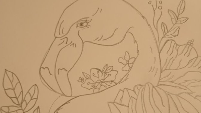 Do you like my sketch?