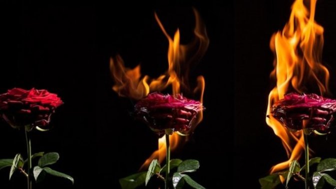 How has love ruined you? Do you believe you can love again?