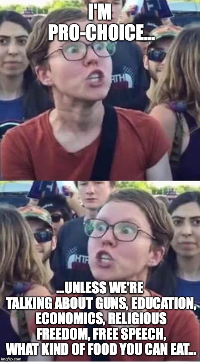 Would you agree that this political meme perfectly describes the Western Left (especially the American Left) in a nutshell?
