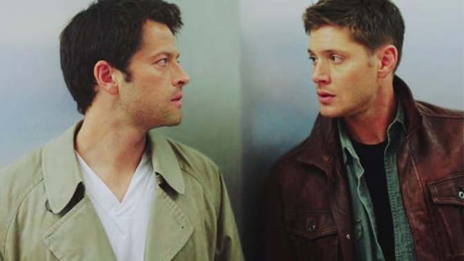 Are you irritated by homosexual ships by fans?