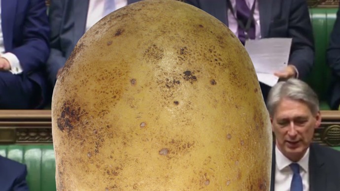 potato in government
