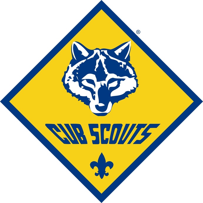 Have you ever been a Cub Scout Den leader?